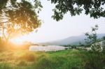 Plant Nursery Of Organic Vegetable Surrounded Stock Photo