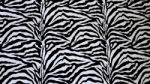 Zebra Texture  Stock Photo