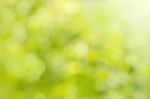 Natural Green Bright Blur Defocused Stock Photo