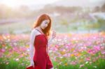 Young Beautiful Woman With A Cosmos Flower Stock Photo