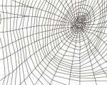 Cobweb Stock Photo