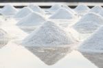 Salt Farm Stock Photo