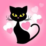 Cat Hearts Means Valentines Day And Cats Stock Photo