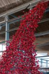 Cardiff/uk - August 27 : Poppies Pouring Out Of The Welsh Assemb Stock Photo