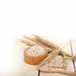 Organic Wheat Grains Stock Photo