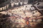 Apple Orchard In Late Fall. First Snow Laid Down Stock Photo