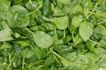 Pile Of Fresh Spinach, Isolated On A White Background Stock Photo