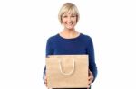 Pretty Woman Holding Shopping Bag Stock Photo