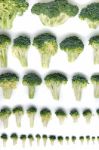 Bunch Of Broccoli Vegetables Aligned In A Perfect Way Stock Photo