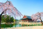 Gyeongbokgung Palace With Cherry Blossom In Spring,korea Stock Photo