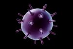 Avian Flu Virus Stock Photo