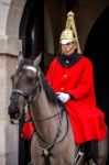 Lifeguard Of The Queens Household Cavalry Stock Photo