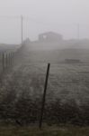 Foggy Countryside Stock Photo