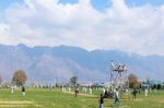 Srinagar, India - April 15 2016: Lifestyle In Dal Lake Stock Photo