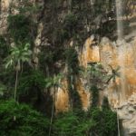 Purlingbrook Falls In Springbrook Stock Photo