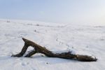 Winter Landscape Stock Photo