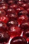 Wet Cherries Stock Photo