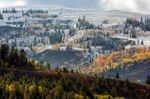 Autumn Colours In Wyoming Stock Photo