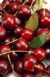 Cherry Group Stock Photo