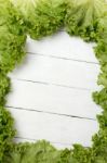 Fresh Lettuce Leafs Creating A Frame Stock Photo