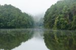 Nature Landscape At Dawn Of Lakes And Pine Forests Stock Photo