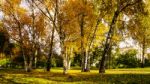 Autumn Season In Russia Moscow Stock Photo