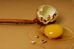 Egg Stock Photo