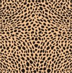 Skin Cheetah Texture Stock Photo