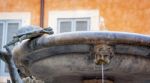 Detail Of The Famous Fontana Delle Tartarughe (the Turtles Fount Stock Photo