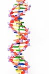 Artificial Human Dna Model Stock Photo