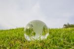 Glass Globe Stock Photo