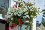 East Grinstead In Bloom Stock Photo