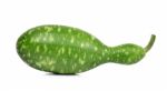 Calabash, Bottle Gourd On White Background Stock Photo