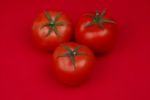 Tomatoes Stock Photo