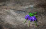 Violets And Purple Flowers On Old Wooden Table Stock Photo