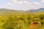 Landscape In Tanzania Stock Photo