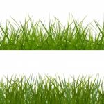 Grass Frame Stock Photo