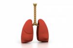 Human Lungs Stock Photo