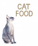 Sphynx Cat And The Inscription Of The Feed 'cat Food' Stock Photo