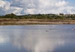 Marshlands In The Algarve Region Stock Photo