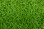 Top View Of Artificial Green Grass Texture For Golf Course Backg Stock Photo