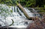 Liffey Falls In The Midlands Region, Tasmania Stock Photo