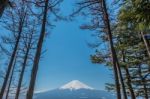 Mt. Fuji In Autumn At Kawaguchiko Lake Snow Landscape,mt. Fuji Is Famous Japan Mountain,tourist People Call Mt. Fuji As Fuji, Fujisan, Fujiyama, Fuji-san,japan Stock Photo