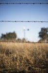 Rusted Sharp Timber And Metal Barb Wire Fence Stock Photo