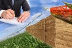 Contract With Commercial Farming Stock Photo