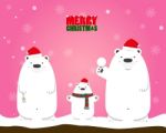 Merry Christmas White Polar Bear Family Stock Photo