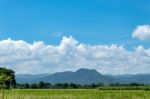 Trees And Mountains On A Bright Sky Stock Photo