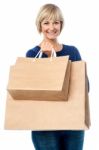 Beautiful Lady Carrying Shopping Bags Stock Photo