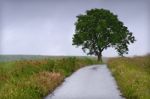 Countryside Rainy Day Stock Photo