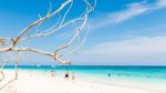 Beautiful  Beach At Ta Chai Island, Phang Nga Thailand Stock Photo